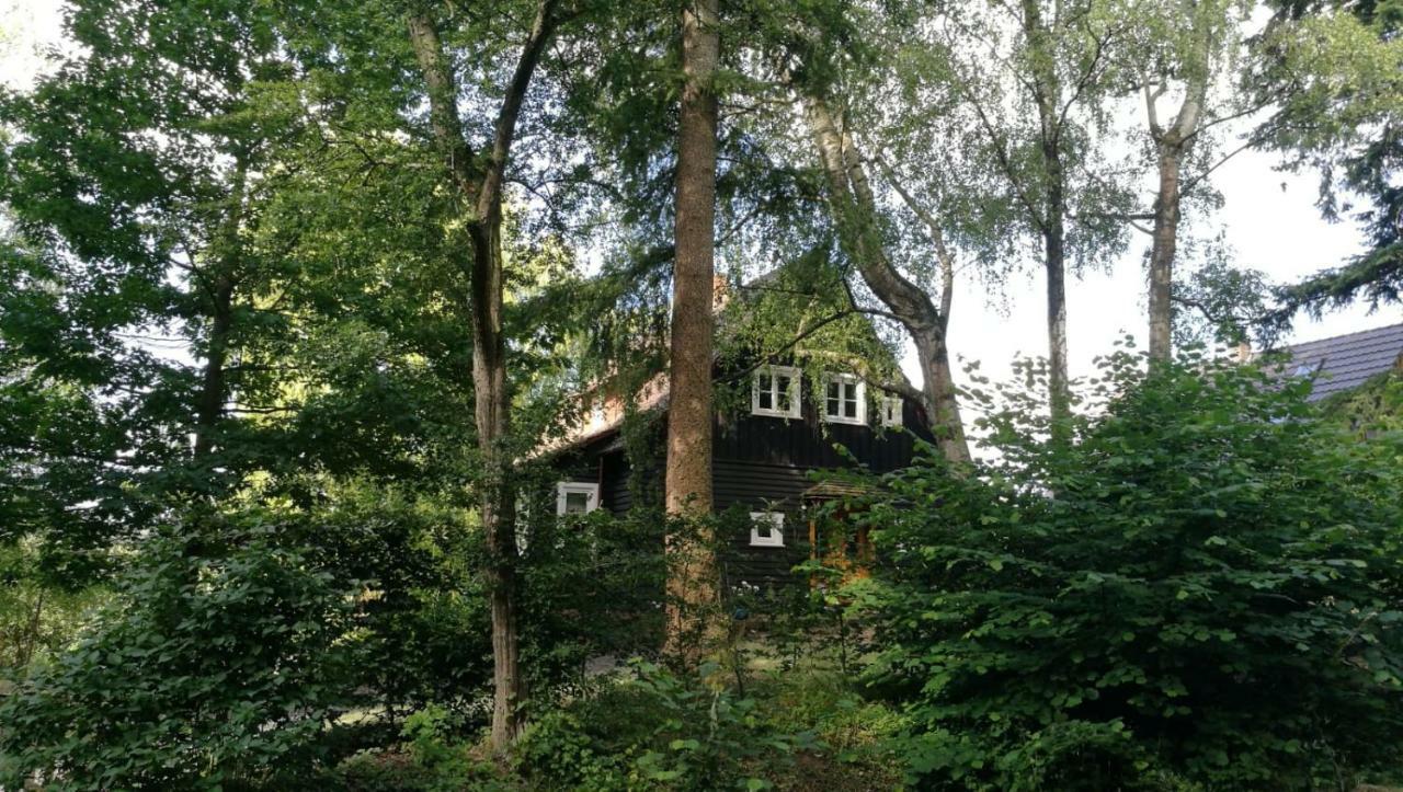 فيلا "Haus Am Knobben" أوسلار المظهر الخارجي الصورة